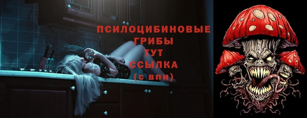 спайс Каменногорск