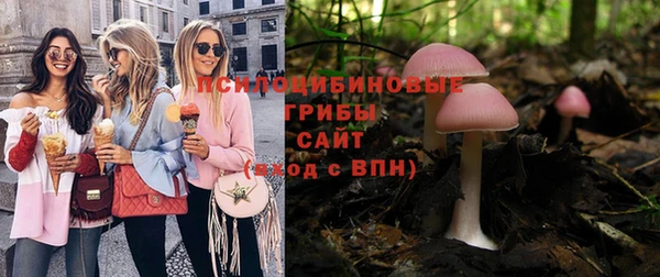 ешки Верея