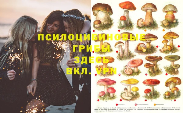 ешки Верея