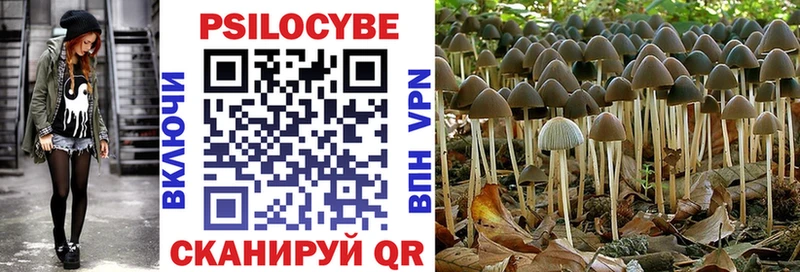 Псилоцибиновые грибы GOLDEN TEACHER  сколько стоит  Калачинск 